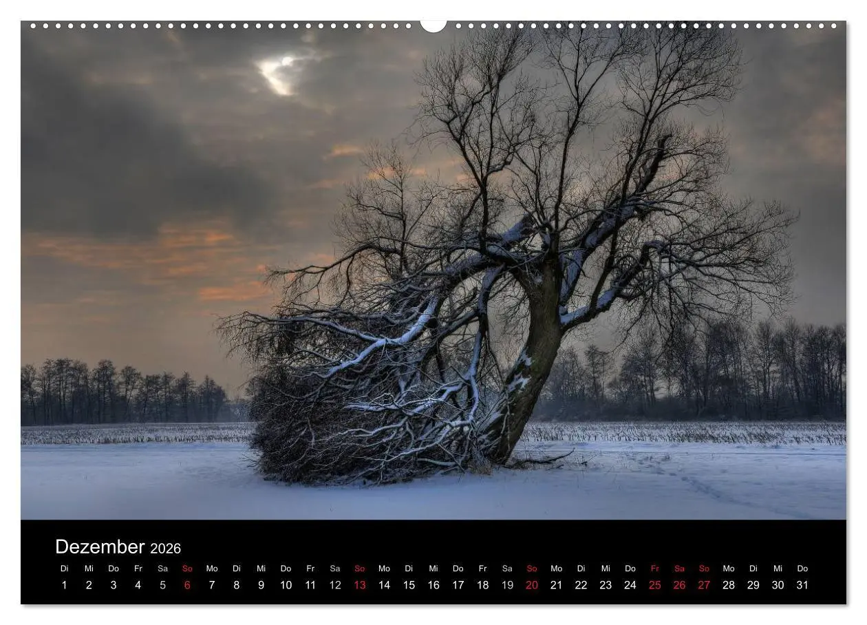 Bild: 9783516229554 | Märchenkulissen - Landschaften der Oberpfalz (Wandkalender 2026 DIN...
