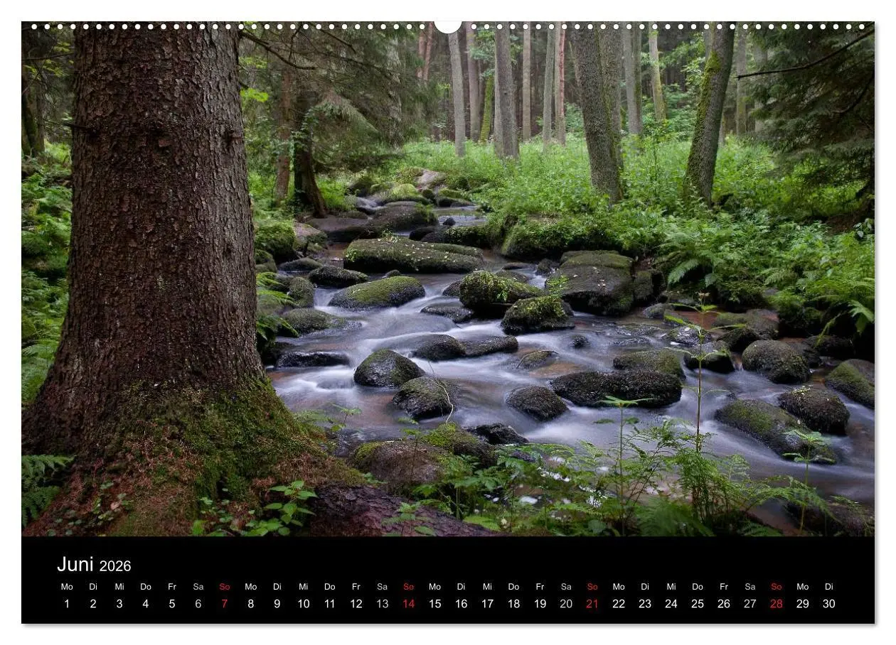 Bild: 9783516229554 | Märchenkulissen - Landschaften der Oberpfalz (Wandkalender 2026 DIN...