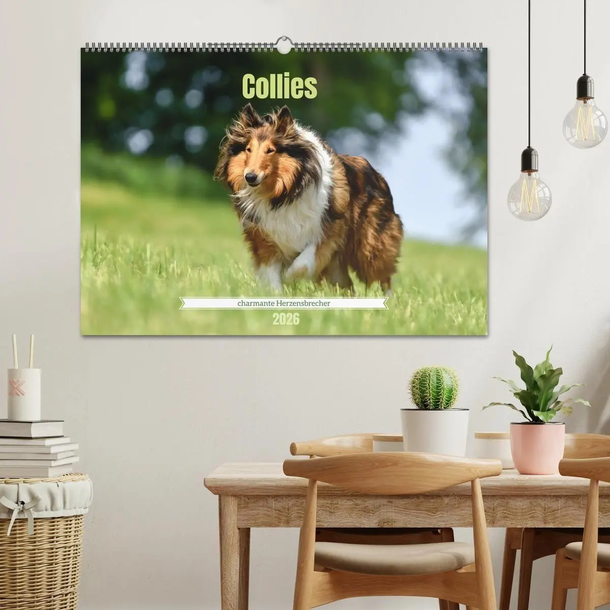 Bild: 9783516699654 | Collies - charmante Herzensbrecher (Wandkalender 2026 DIN A2 quer),...