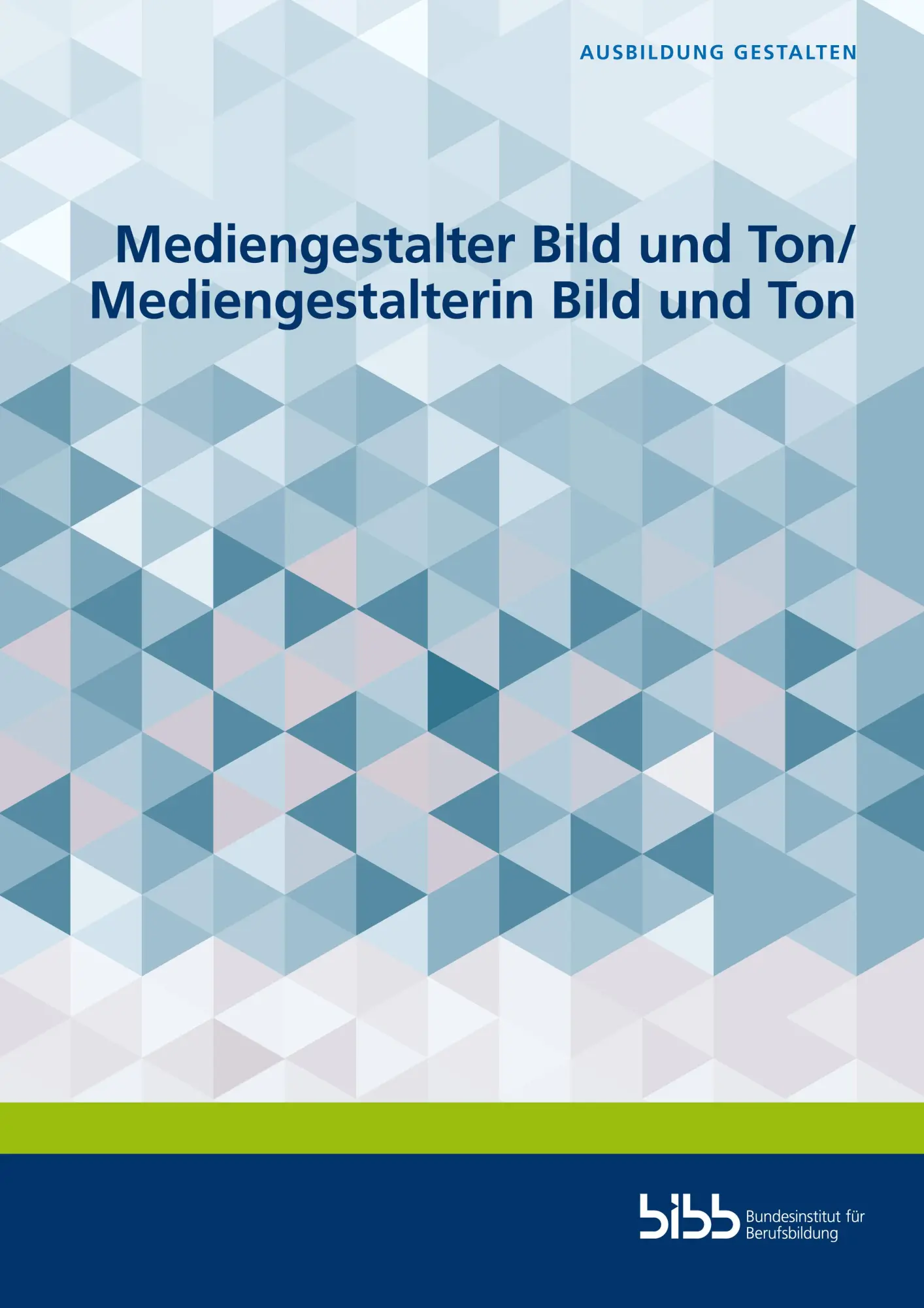 Cover: 9783847429654 | Mediengestalter Bild und Ton/Mediengestalterin Bild und Ton | Buch