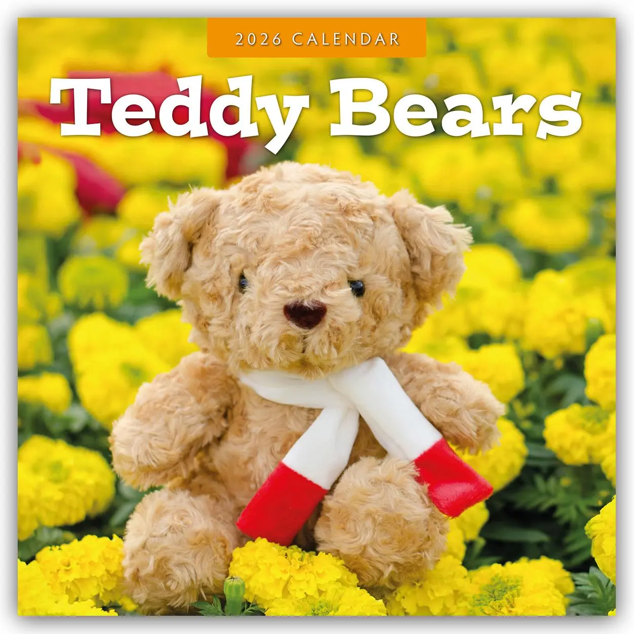 Cover: 9781804429754 | Teddy Bears 2026 Square Wall Calendar | Red Robin | Taschenbuch | 2026