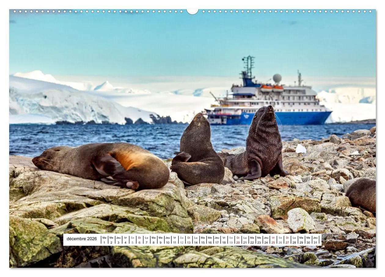 Bild: 9783457289754 | L'Antarctique magique (Calendrier mural 2026 DIN A2 vertical),...