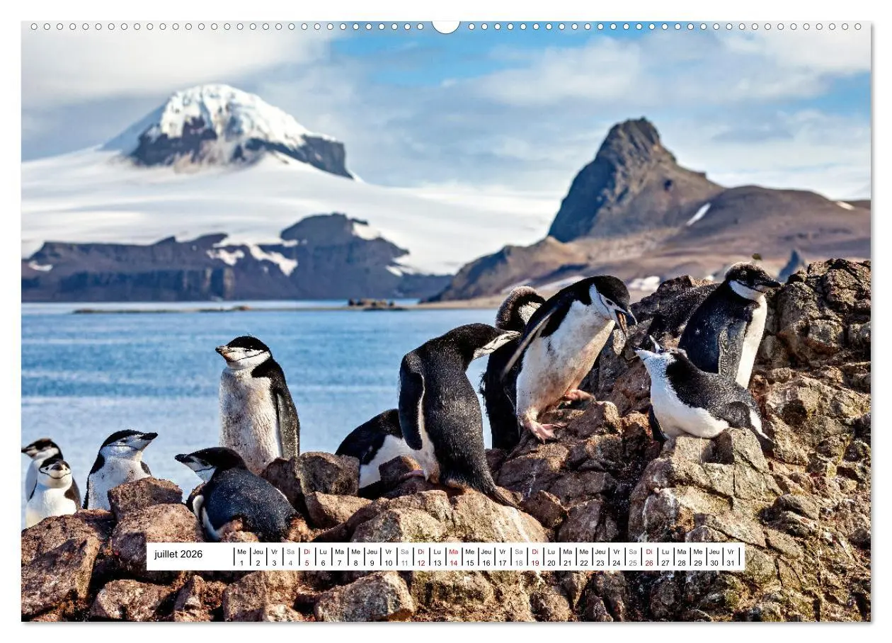 Bild: 9783457289754 | L'Antarctique magique (Calendrier mural 2026 DIN A2 vertical),...