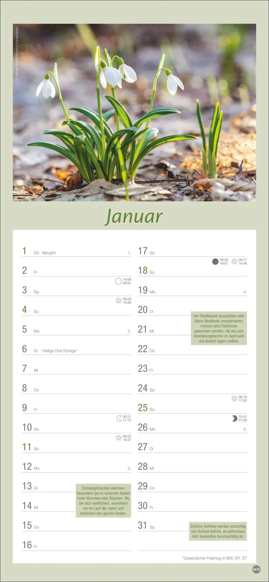 Bild: 9783756409754 | Gartenplaner 2026 | Heye | Kalender | Spiralbindung | 13 S. | Deutsch
