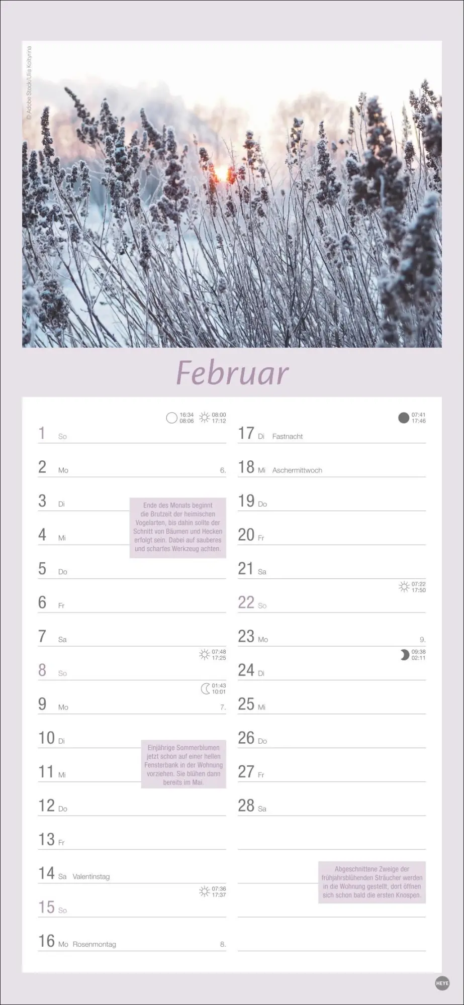 Bild: 9783756409754 | Gartenplaner 2026 | Heye | Kalender | Spiralbindung | 13 S. | Deutsch