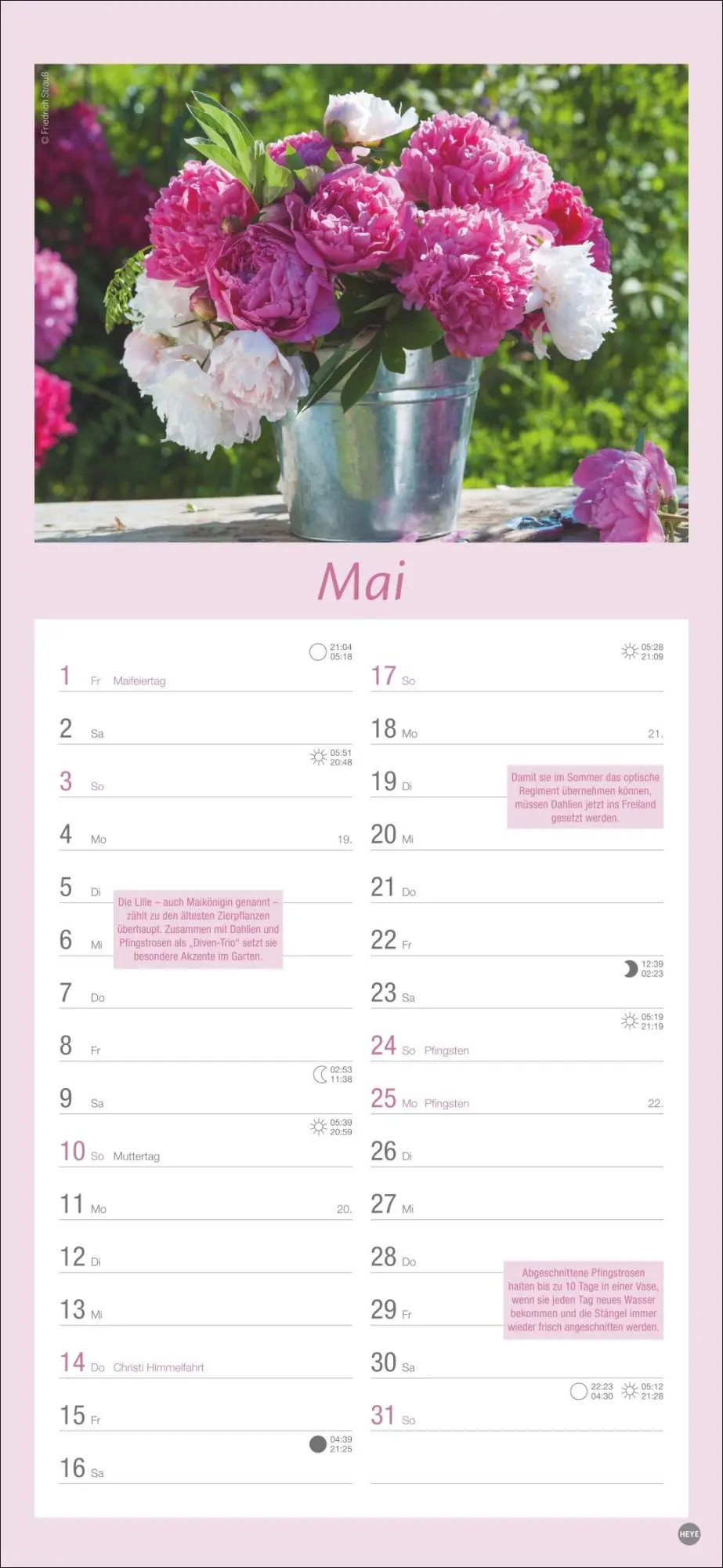 Bild: 9783756409754 | Gartenplaner 2026 | Heye | Kalender | Spiralbindung | 13 S. | Deutsch