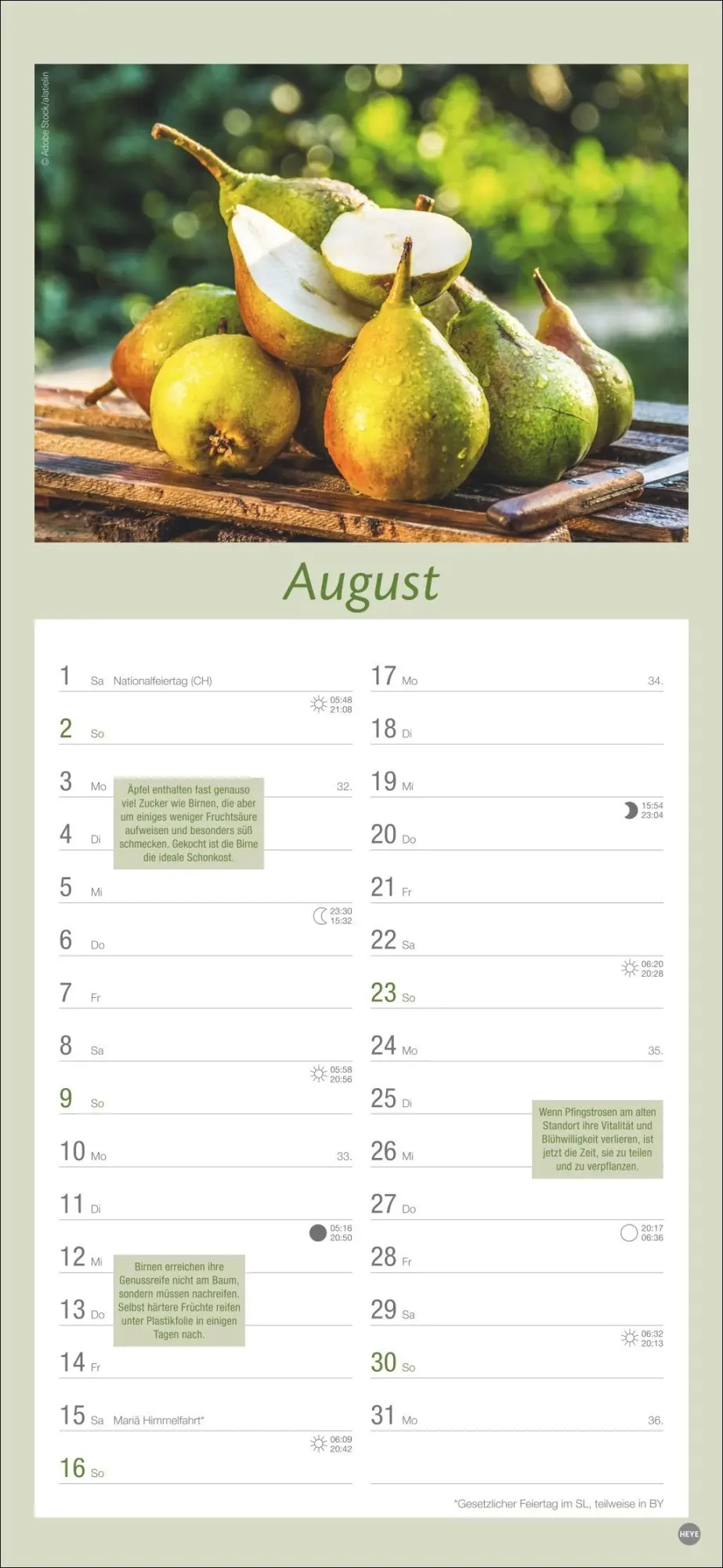 Bild: 9783756409754 | Gartenplaner 2026 | Heye | Kalender | Spiralbindung | 13 S. | Deutsch
