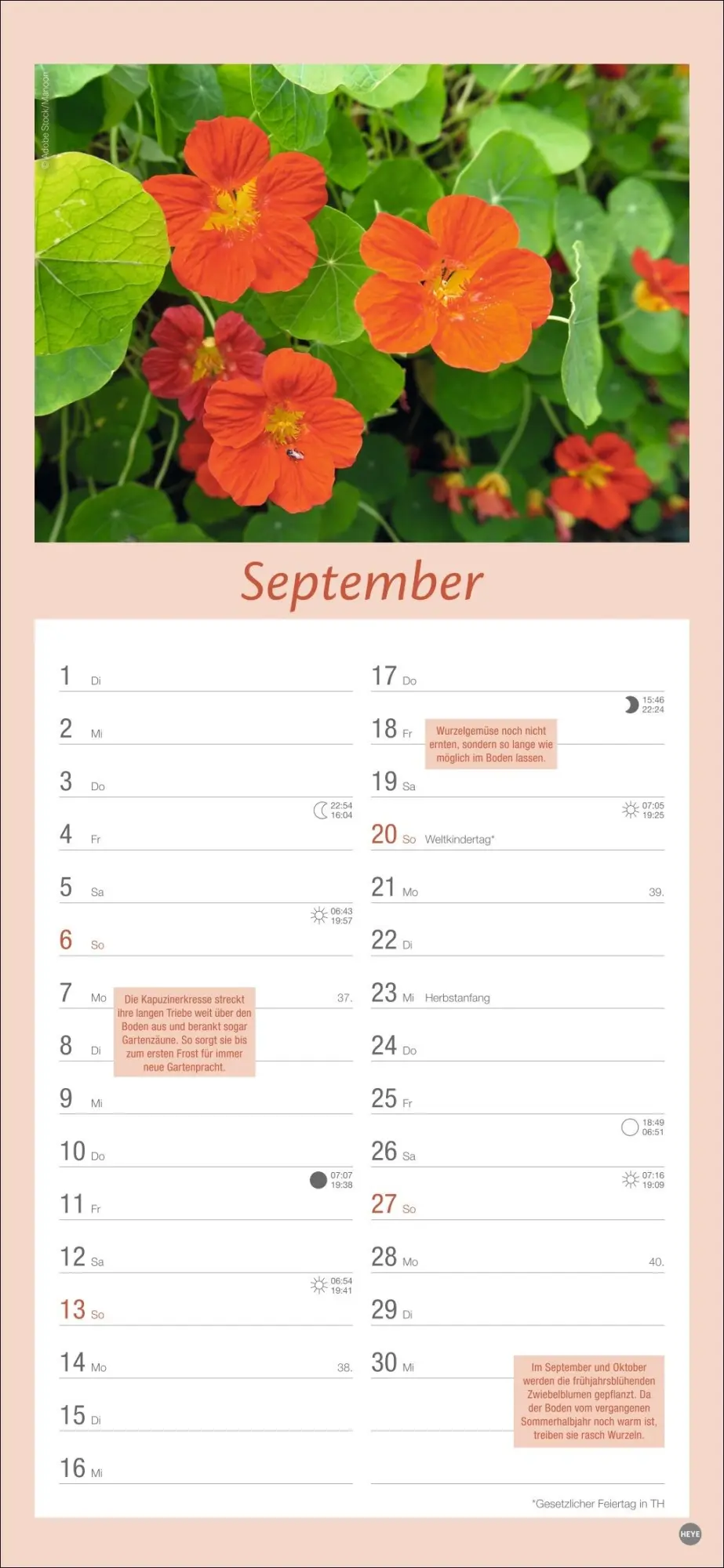 Bild: 9783756409754 | Gartenplaner 2026 | Heye | Kalender | Spiralbindung | 13 S. | Deutsch