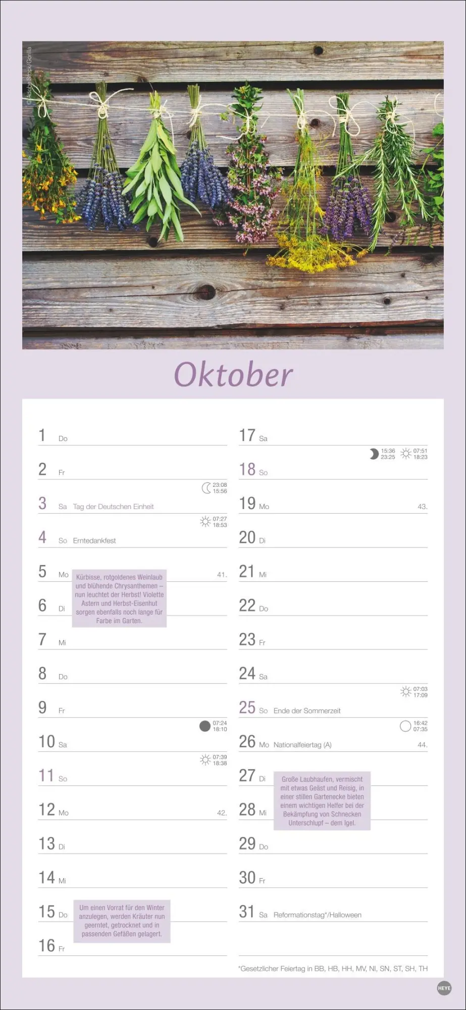 Bild: 9783756409754 | Gartenplaner 2026 | Heye | Kalender | Spiralbindung | 13 S. | Deutsch