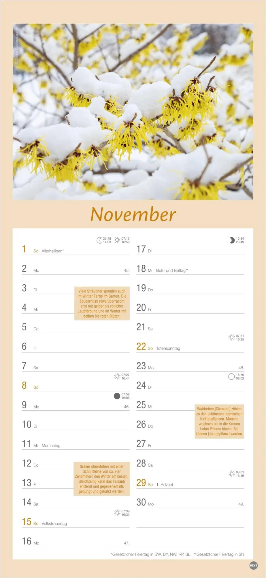 Bild: 9783756409754 | Gartenplaner 2026 | Heye | Kalender | Spiralbindung | 13 S. | Deutsch