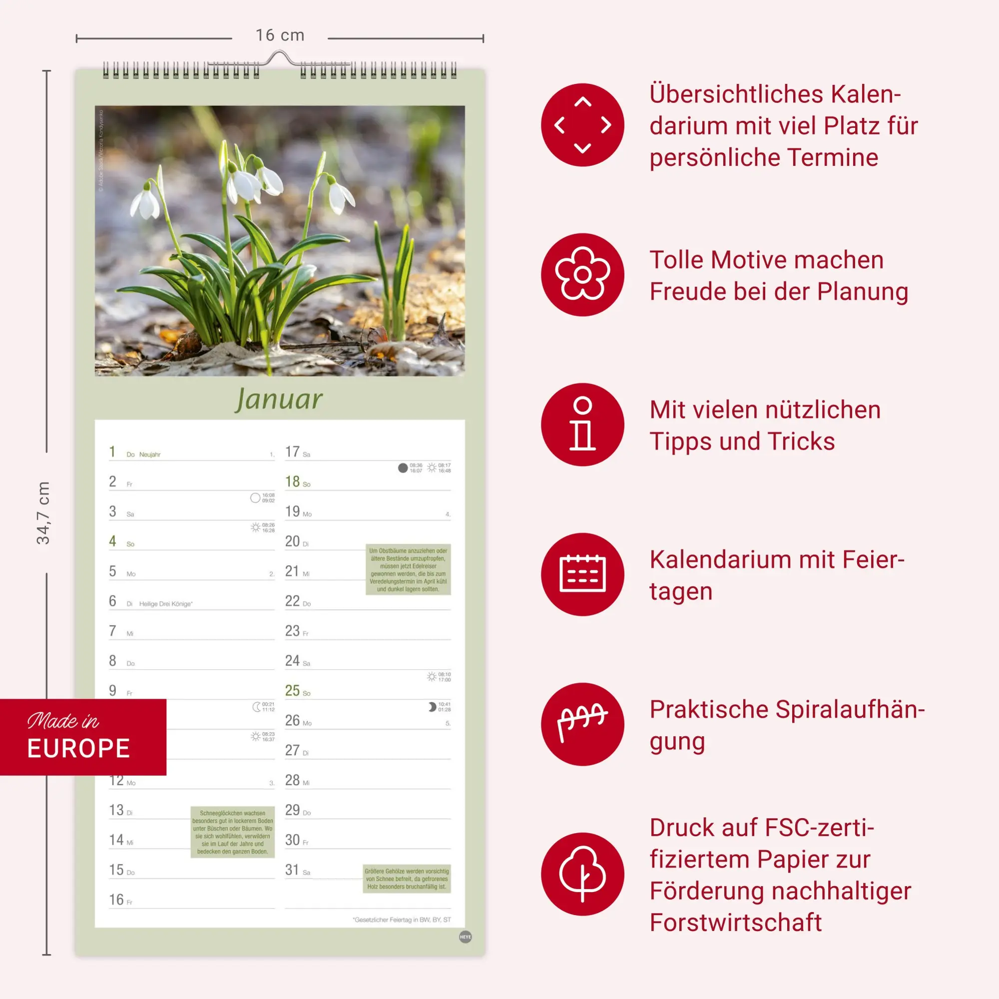 Bild: 9783756409754 | Gartenplaner 2026 | Heye | Kalender | Spiralbindung | 13 S. | Deutsch