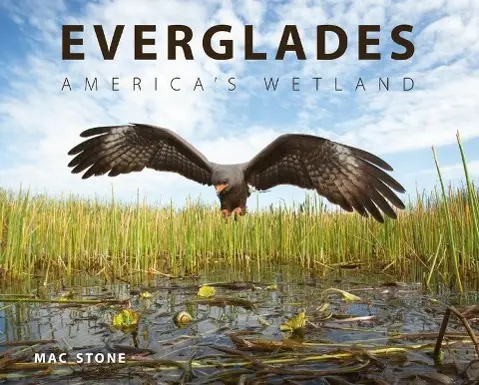 Cover: 9780813049854 | Everglades | America's Wetland | Mac Stone | Buch | Englisch | 2014
