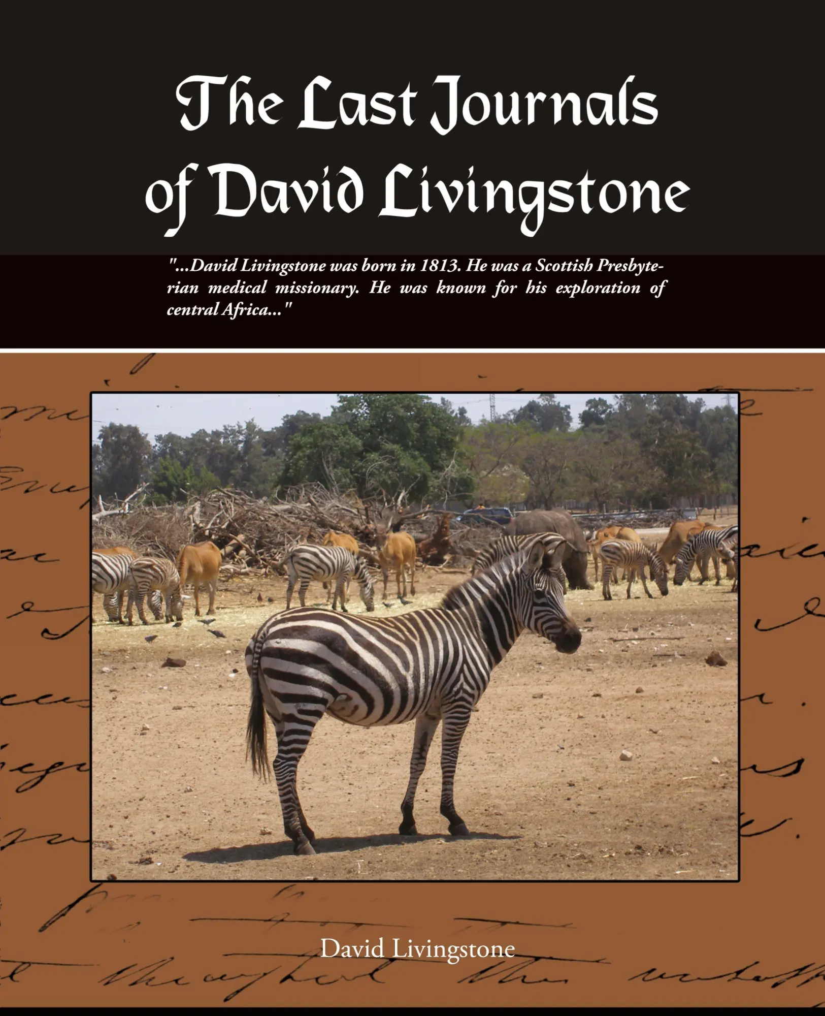 Cover: 9781605979854 | The Last Journals of David Livingstone | David Livingstone | Buch