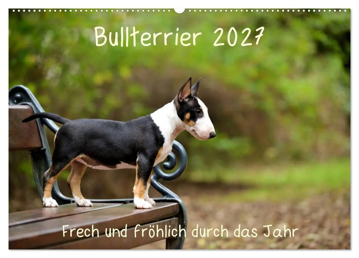 Cover: 9783569769854 | Bullterrier 2027 Frech und fröhlich durch das Jahr (Wandkalender...