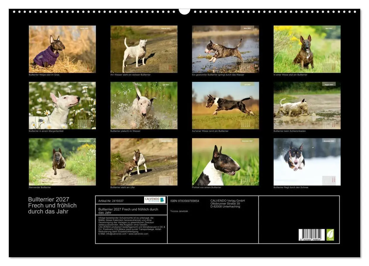 Bild: 9783569769854 | Bullterrier 2027 Frech und fröhlich durch das Jahr (Wandkalender...