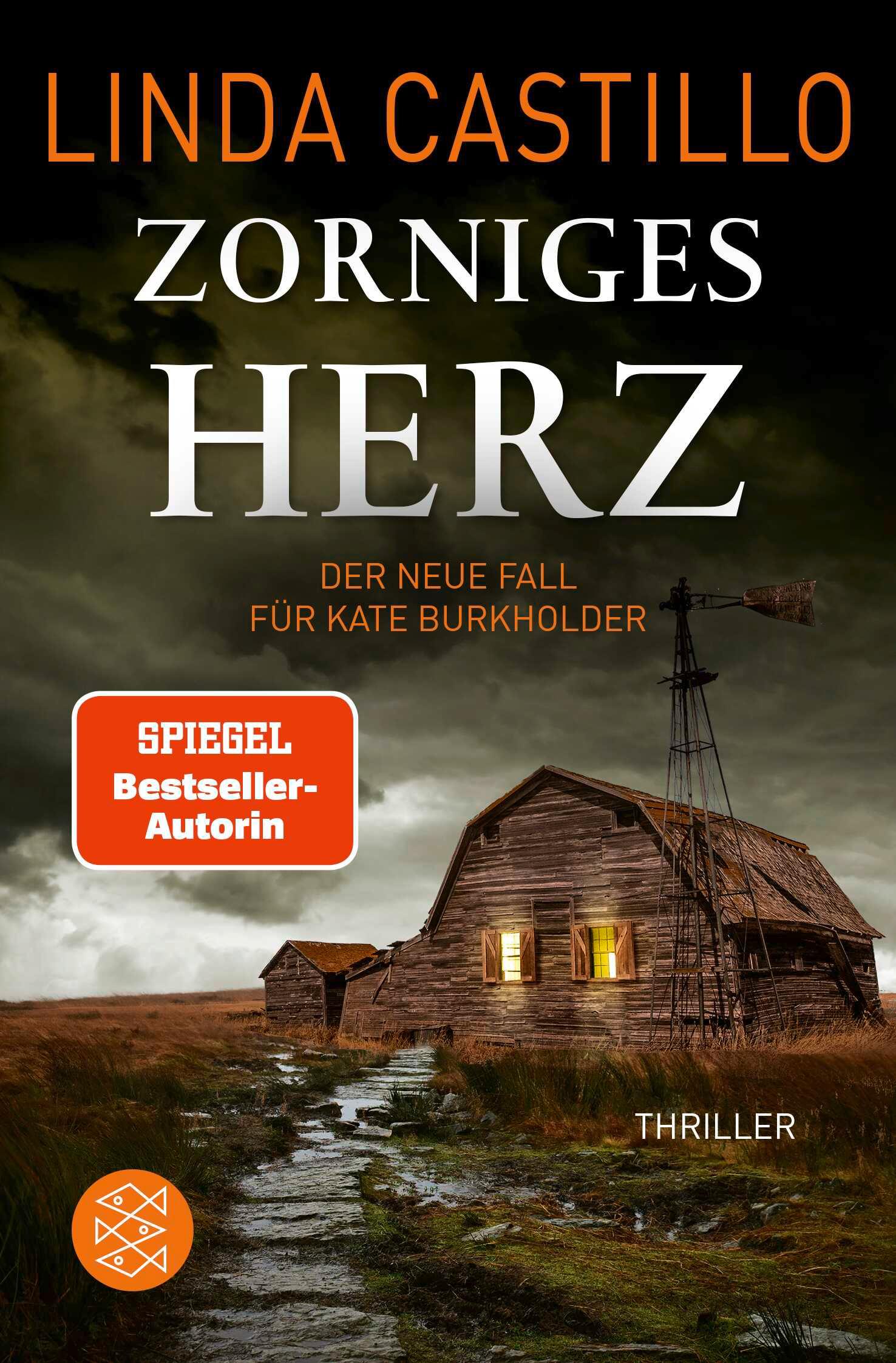 Cover: 9783596709854 | Zorniges Herz | Thriller Spannender Thriller bei den Amischen | Buch