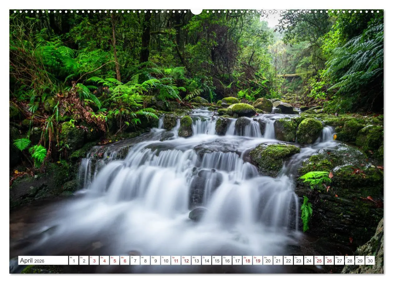 Bild: 9783457579954 | Madeira - Eine Perle im Atlantischen Ozean (Wandkalender 2026 DIN...
