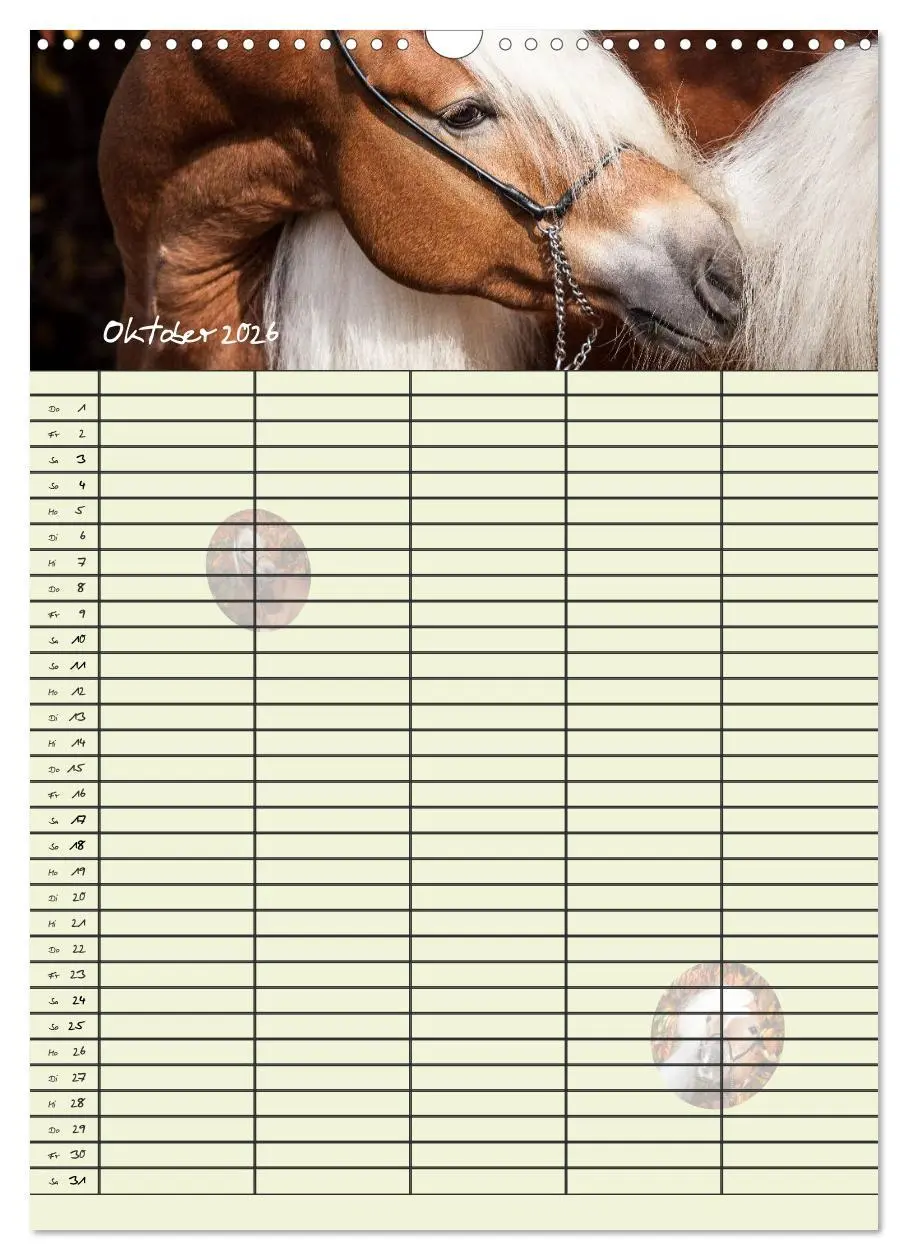 Bild: 9783516429954 | Haflinger Pferde - Stall- und Familienplaner 2026 (Wandkalender...