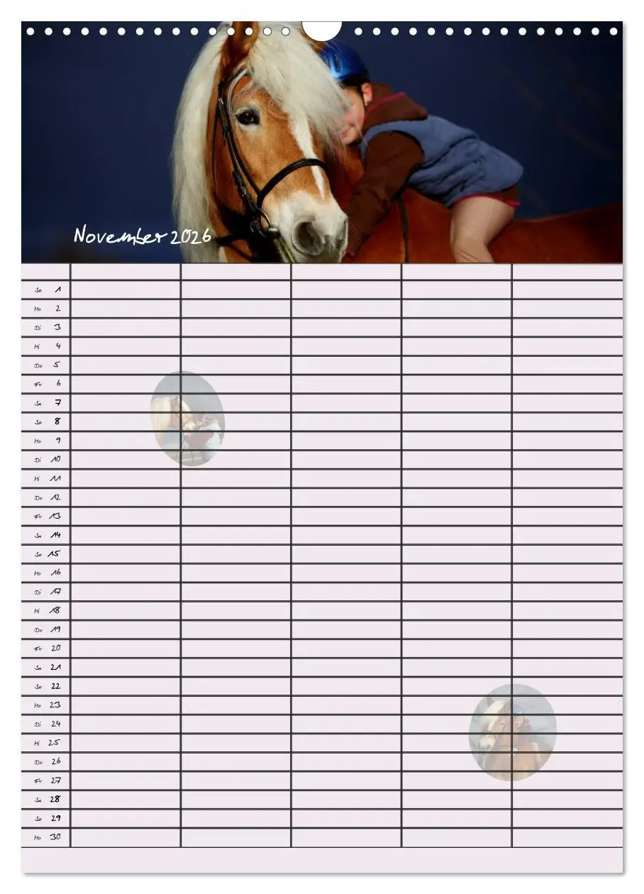Bild: 9783516429954 | Haflinger Pferde - Stall- und Familienplaner 2026 (Wandkalender...