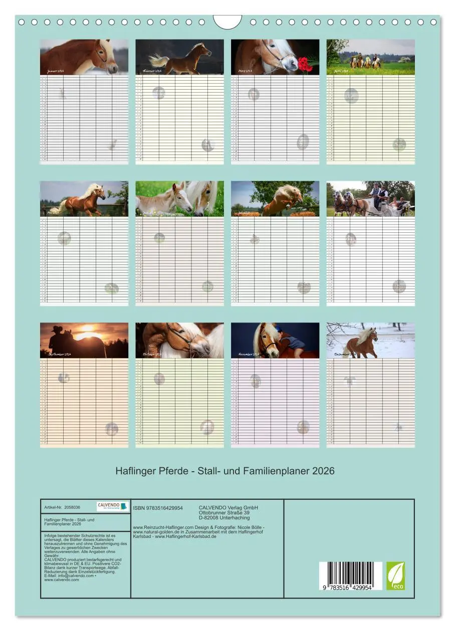 Bild: 9783516429954 | Haflinger Pferde - Stall- und Familienplaner 2026 (Wandkalender...