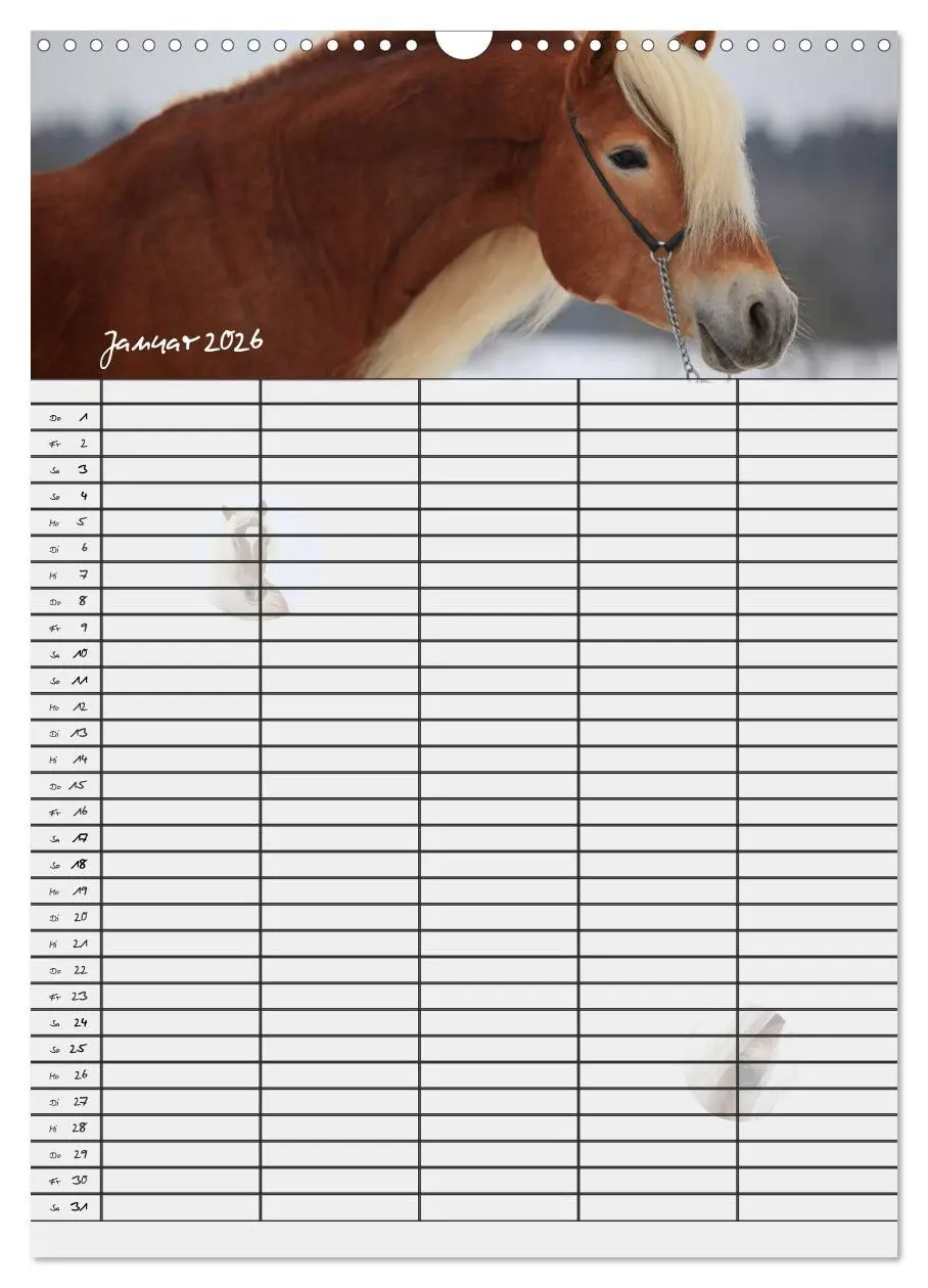 Bild: 9783516429954 | Haflinger Pferde - Stall- und Familienplaner 2026 (Wandkalender...