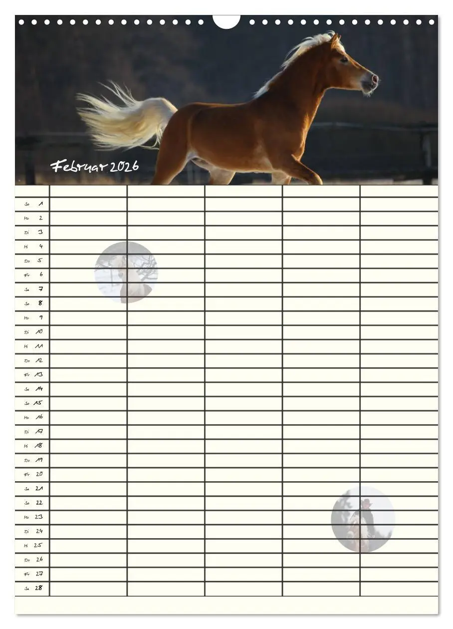 Bild: 9783516429954 | Haflinger Pferde - Stall- und Familienplaner 2026 (Wandkalender...