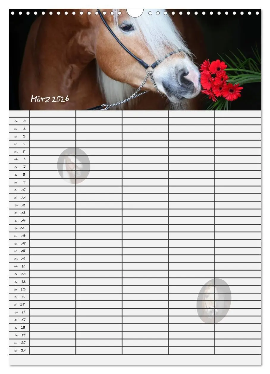Bild: 9783516429954 | Haflinger Pferde - Stall- und Familienplaner 2026 (Wandkalender...