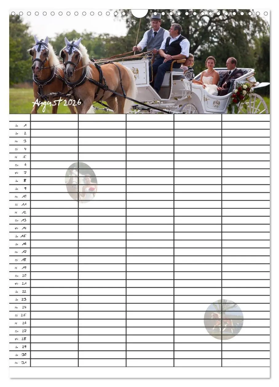 Bild: 9783516429954 | Haflinger Pferde - Stall- und Familienplaner 2026 (Wandkalender...