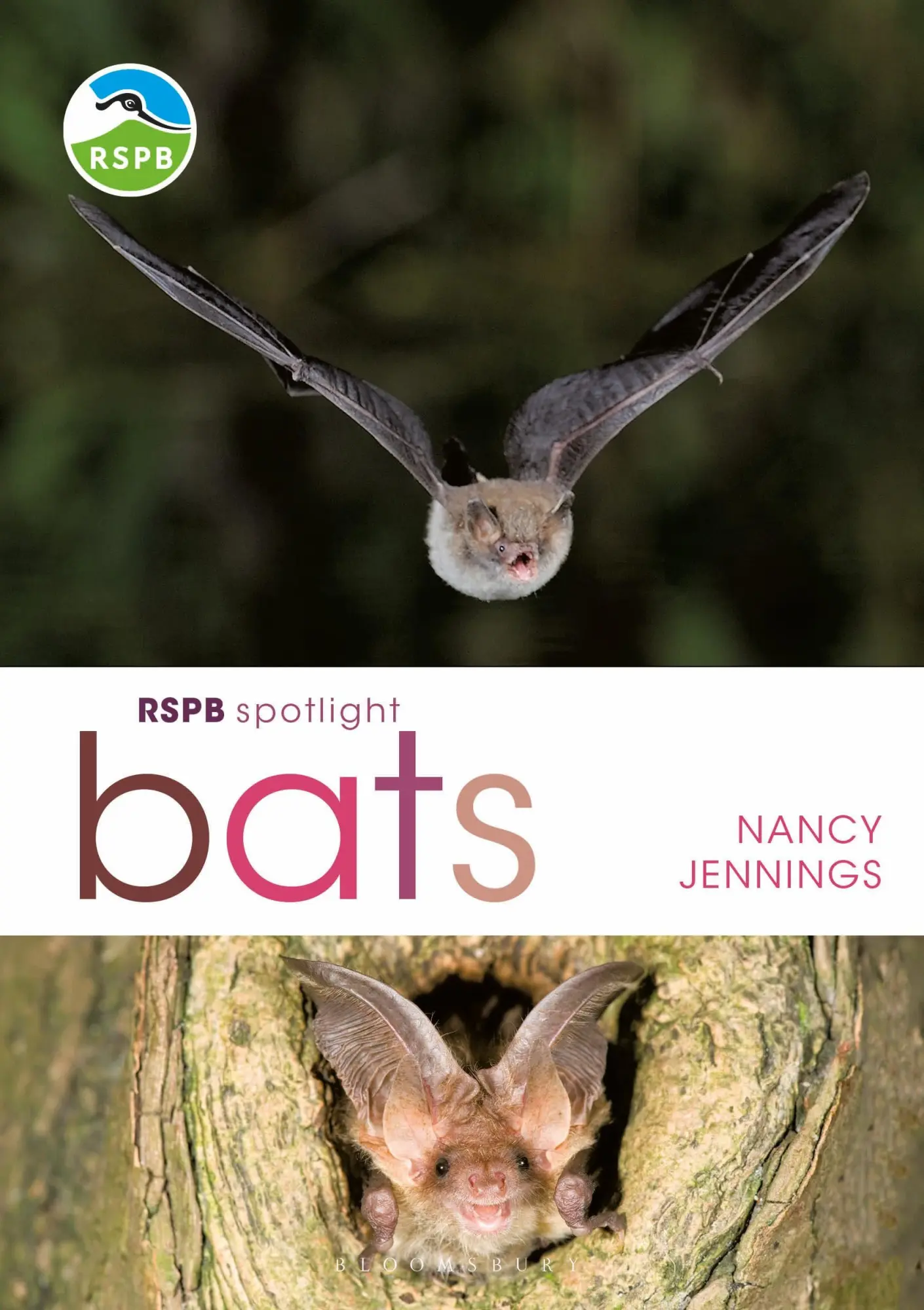 Cover: 9781472950055 | RSPB Spotlight Bats | Nancy Jennings | Taschenbuch | Englisch | 2018