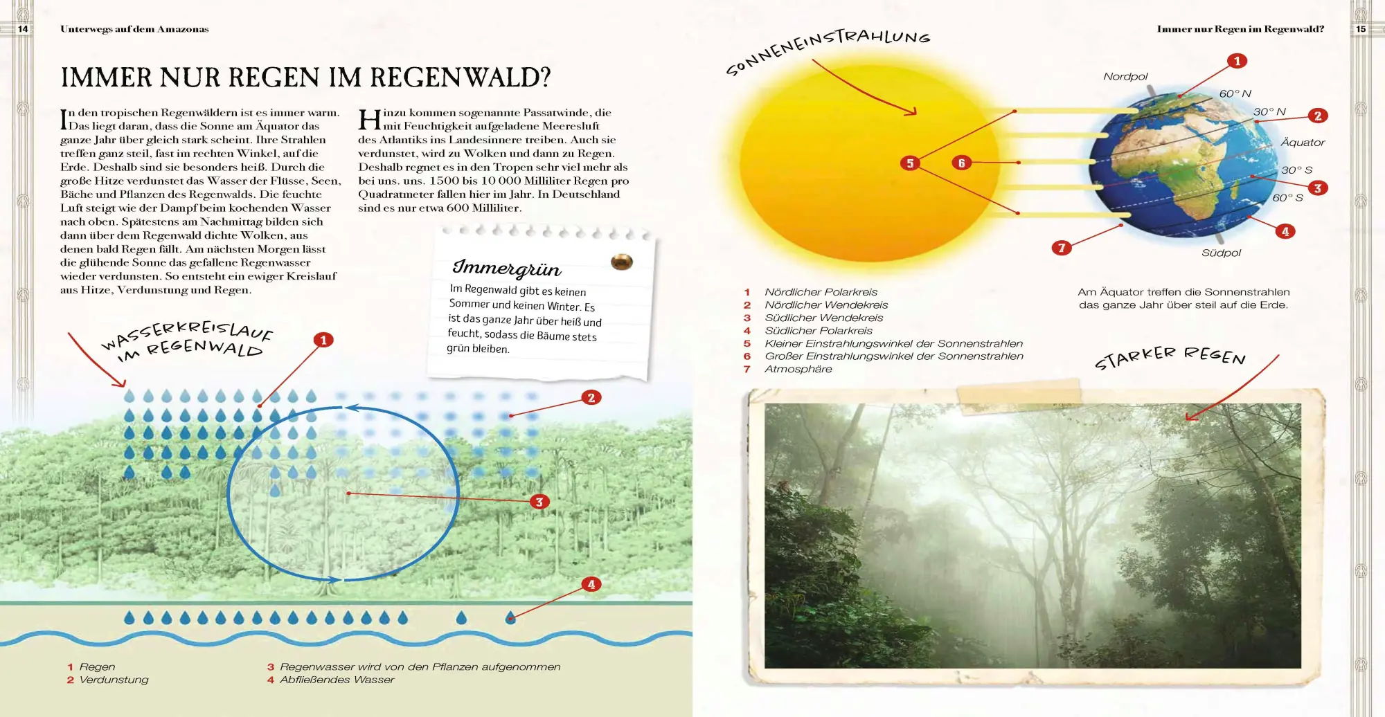 Bild: 9783968080055 | Verborgene Welt des Regenwaldes | Kristina Scharmacher-Schreiber