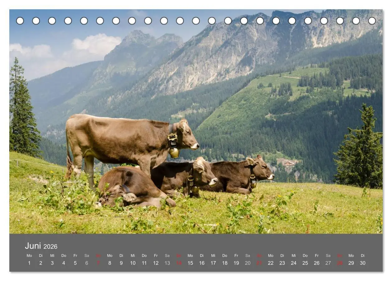 Bild: 9783516220155 | Tannheimer Tal (Tischkalender 2026 DIN A5 quer), CALVENDO...