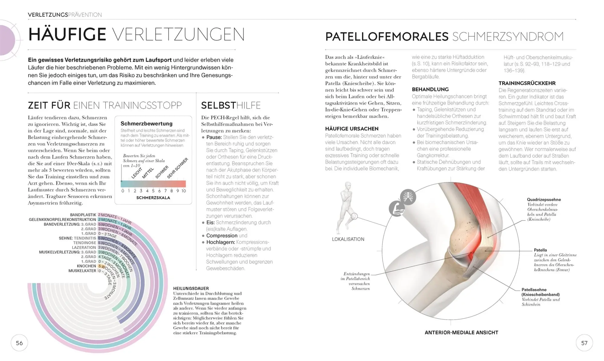 Bild: 9783831040155 | Lauftraining - Die Anatomie verstehen | Chris Napier | Taschenbuch