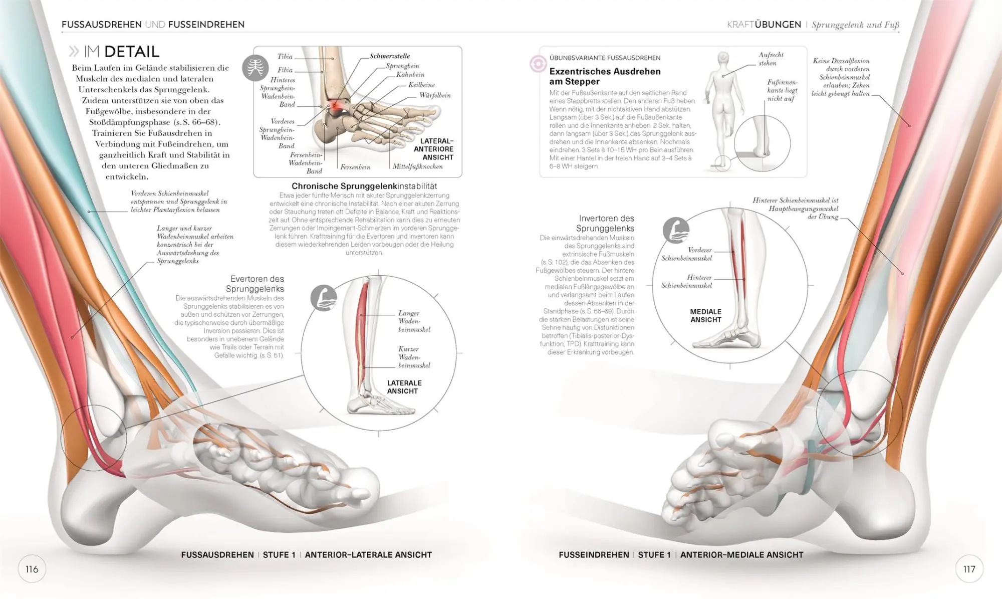 Bild: 9783831040155 | Lauftraining - Die Anatomie verstehen | Chris Napier | Taschenbuch