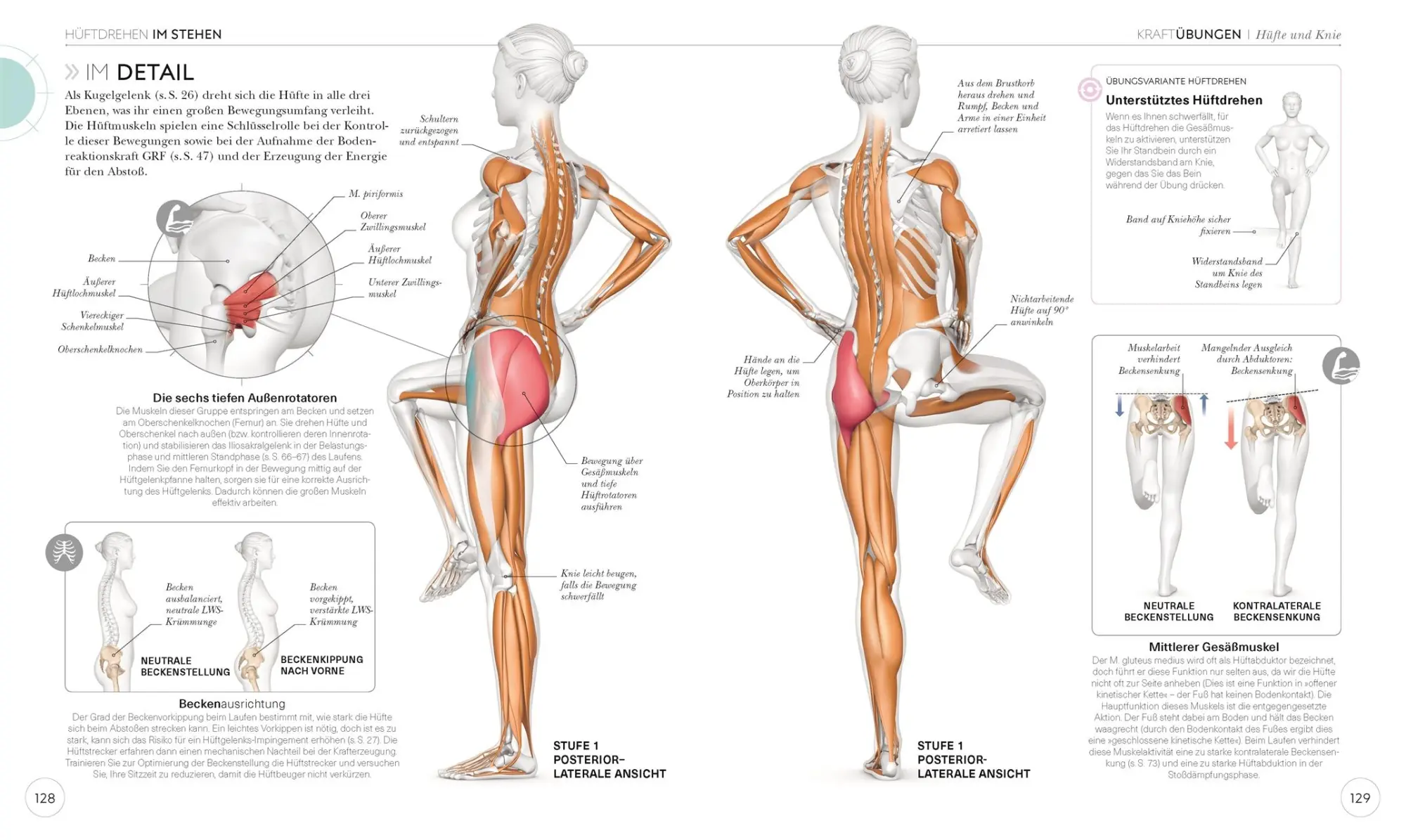 Bild: 9783831040155 | Lauftraining - Die Anatomie verstehen | Chris Napier | Taschenbuch
