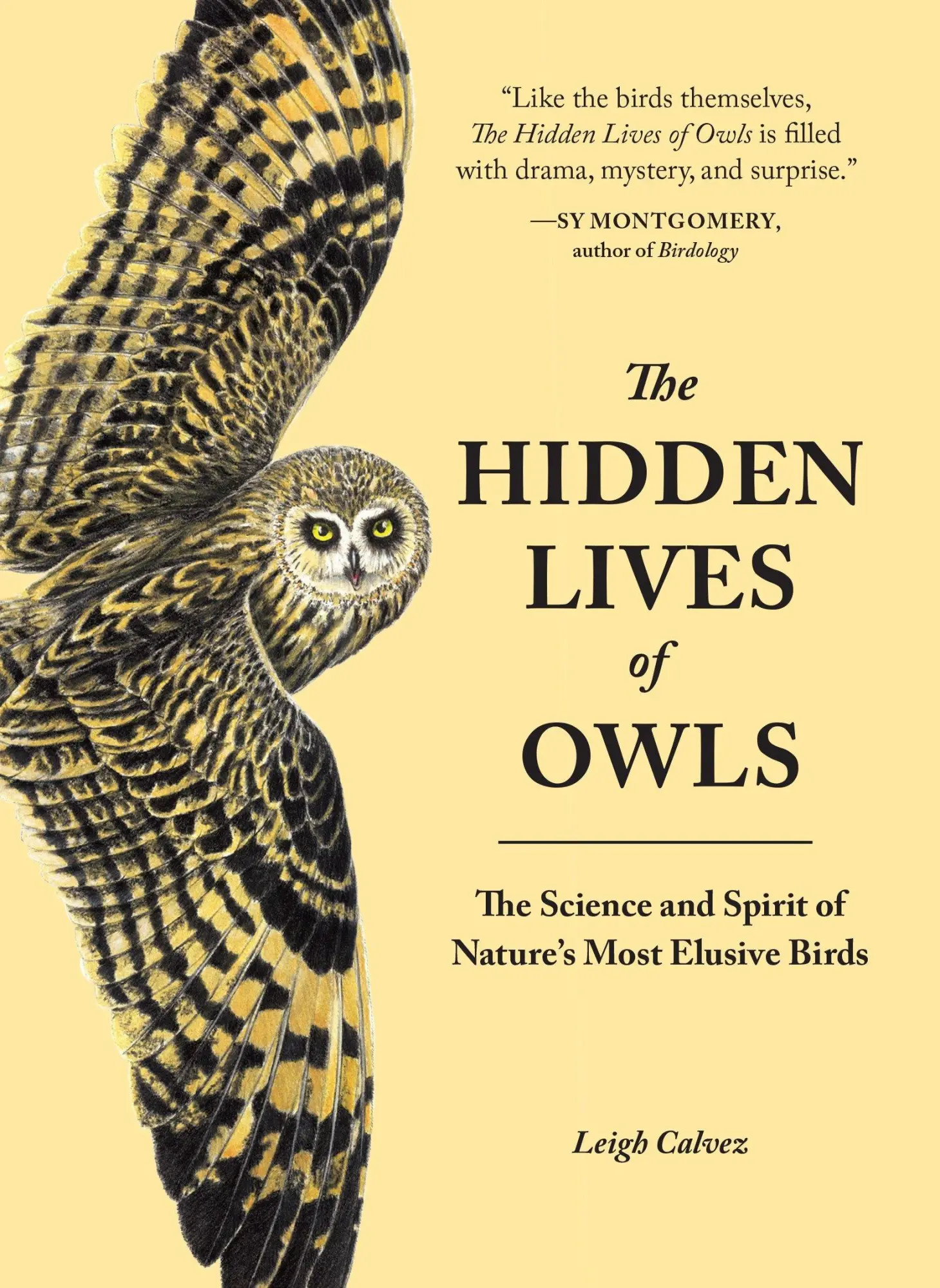Cover: 9781632170255 | The Hidden Lives of Owls | Leigh Calvez | Taschenbuch | Englisch