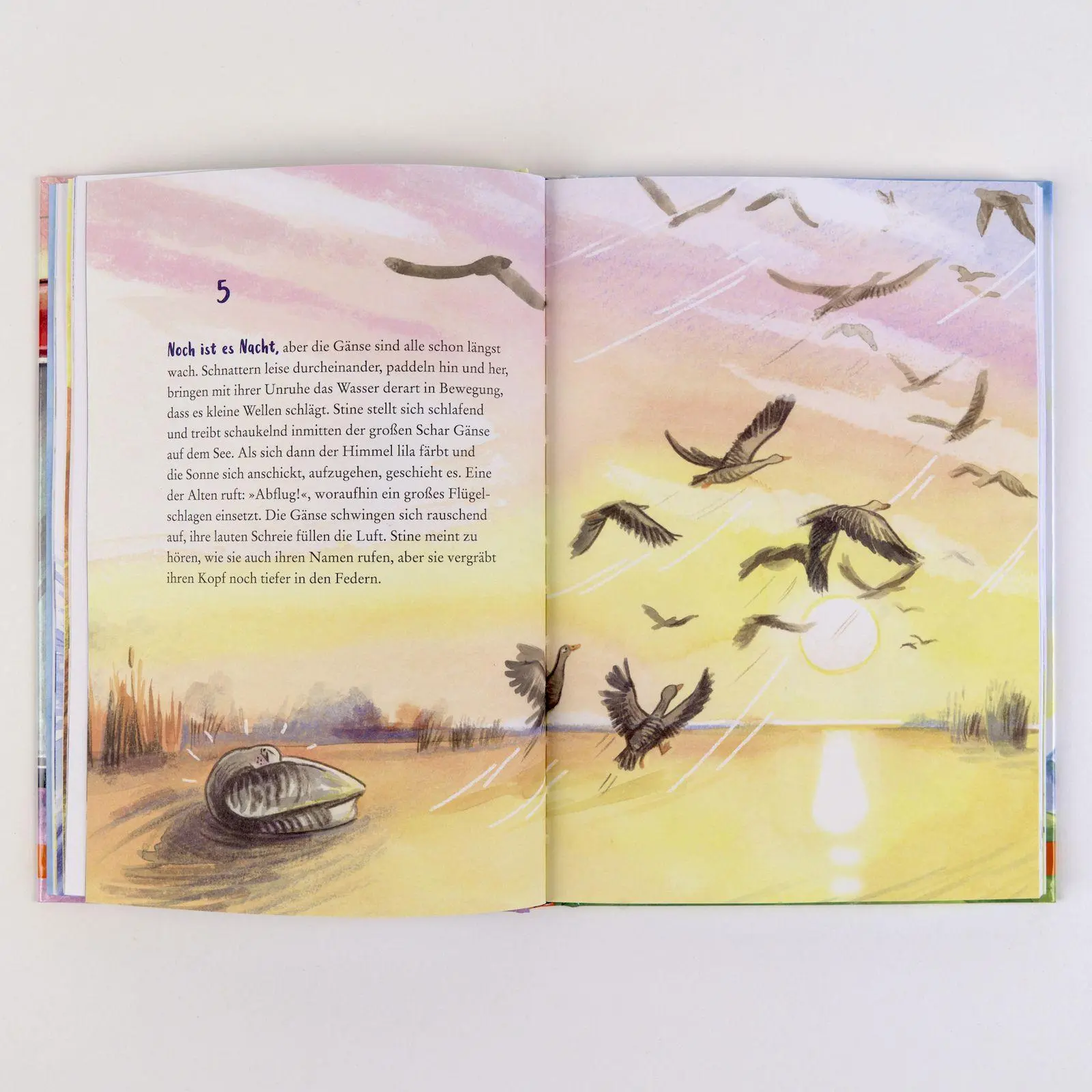 Bild: 9783407790255 | Stine Gans und ihre unglaubliche Reise | Petra Postert | Buch | 120 S.