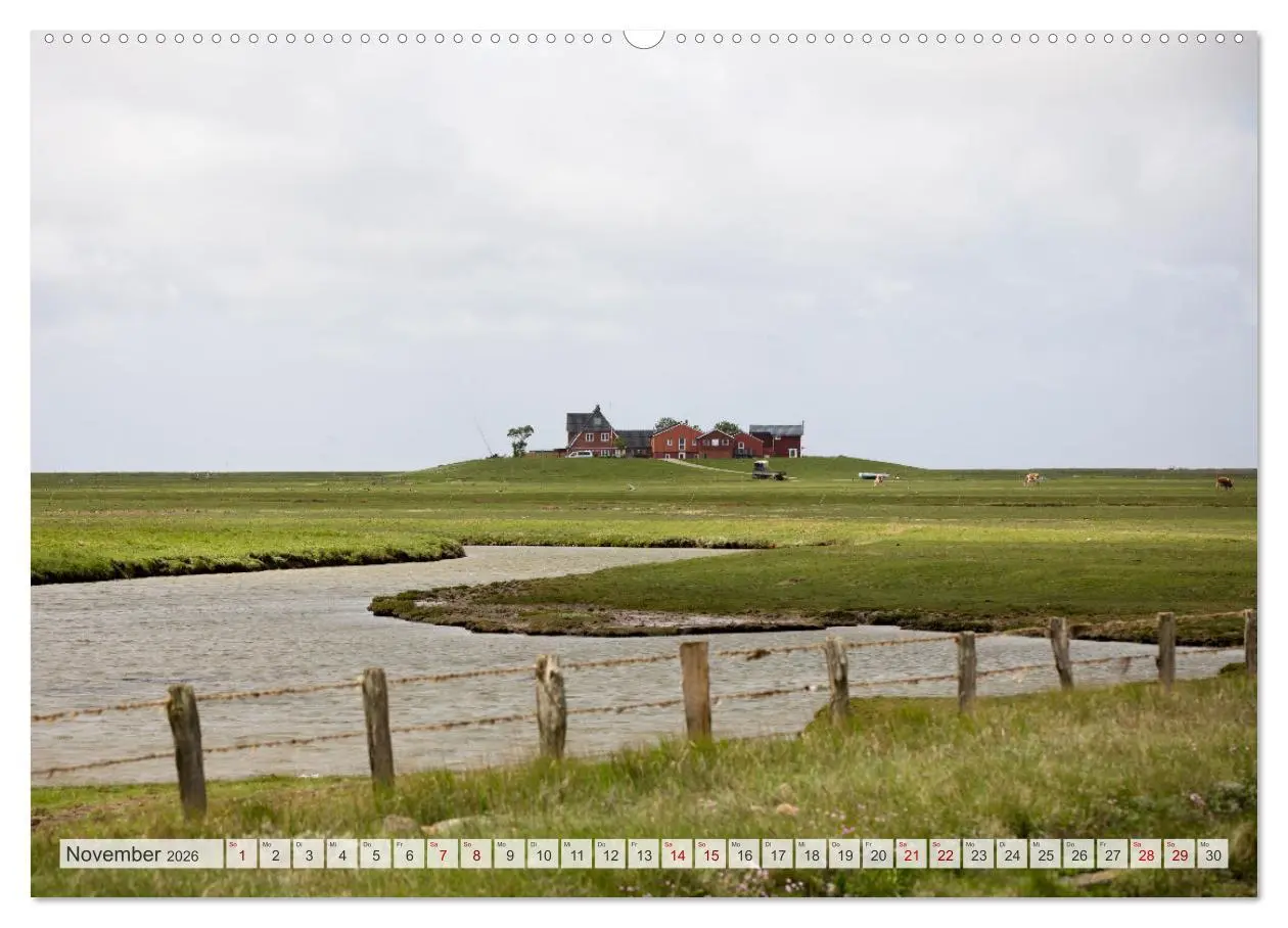 Bild: 9783457430255 | Wunderschöne Hallig Hooge (hochwertiger Premium Wandkalender 2026...