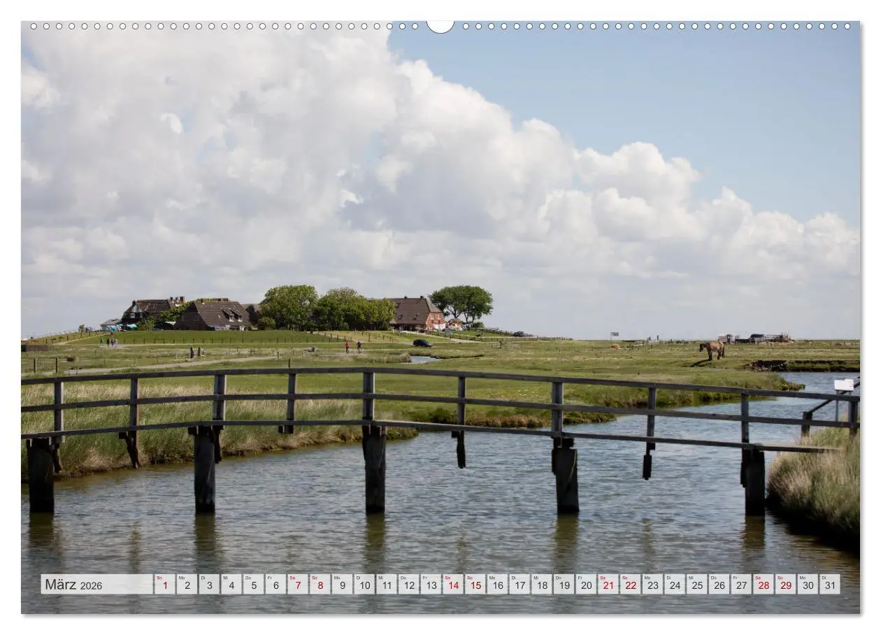 Bild: 9783457430255 | Wunderschöne Hallig Hooge (hochwertiger Premium Wandkalender 2026...
