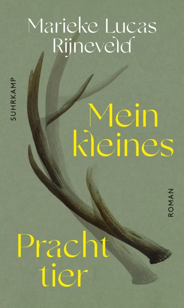 Cover: 9783518430255 | Mein kleines Prachttier | Lucas Rijneveld | Buch | 364 S. | Deutsch