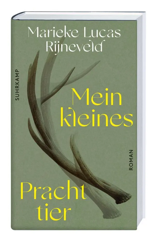 Bild: 9783518430255 | Mein kleines Prachttier | Lucas Rijneveld | Buch | 364 S. | Deutsch