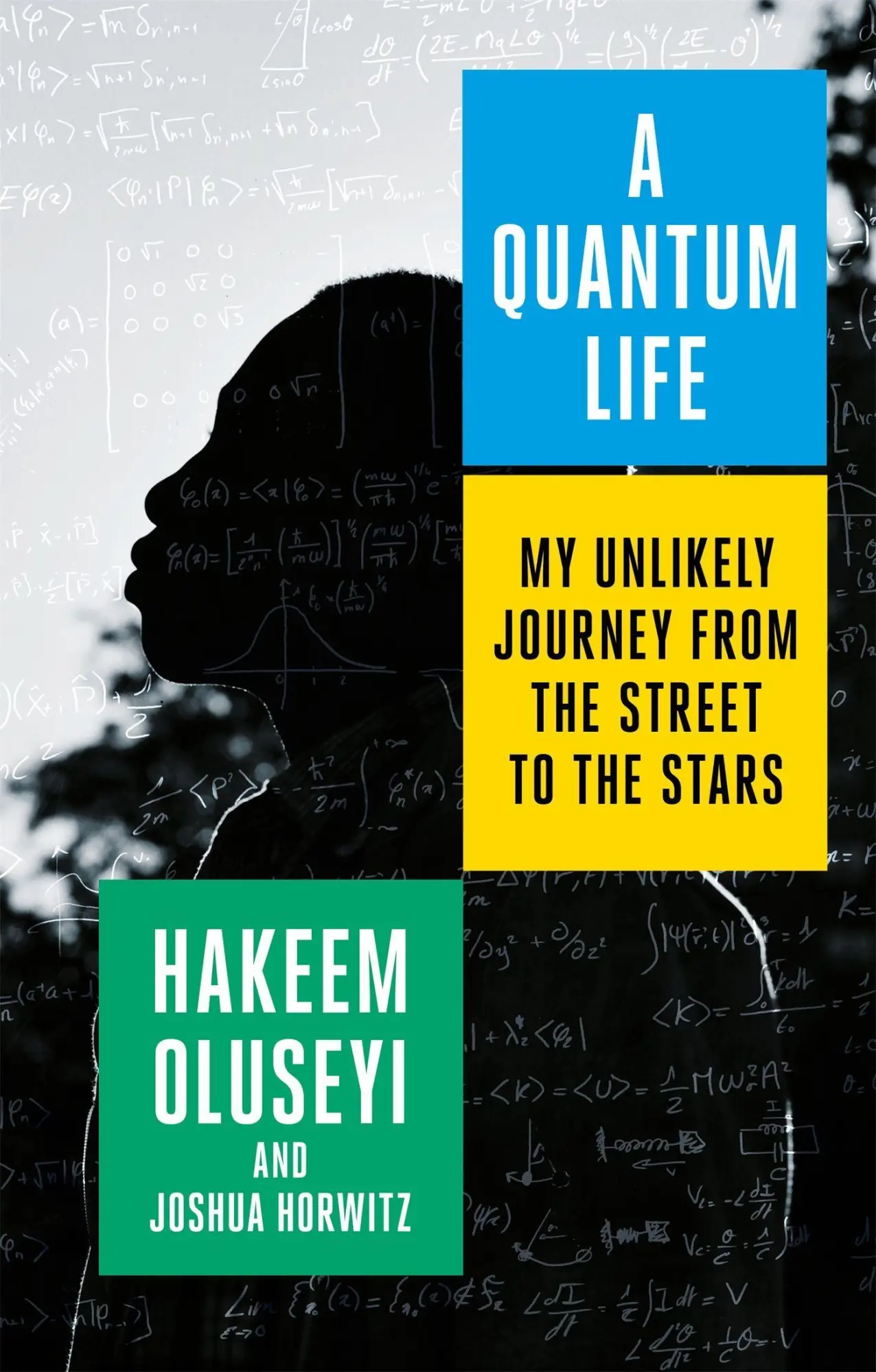 Cover: 9780349430355 | A Quantum Life | My Unlikely Journey from the Street to the Stars