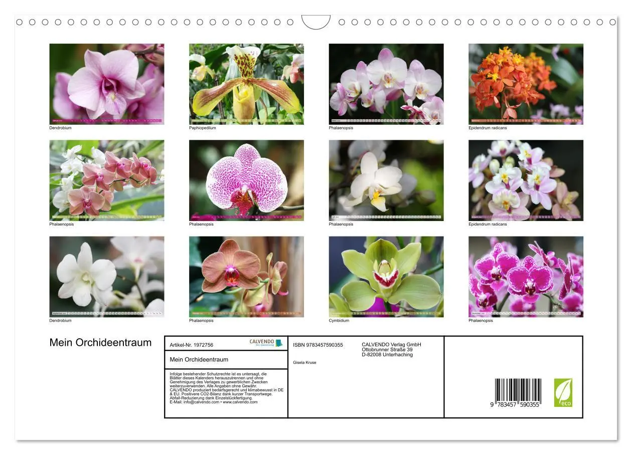 Bild: 9783457590355 | Mein Orchideentraum (Wandkalender 2026 DIN A3 quer), CALVENDO...