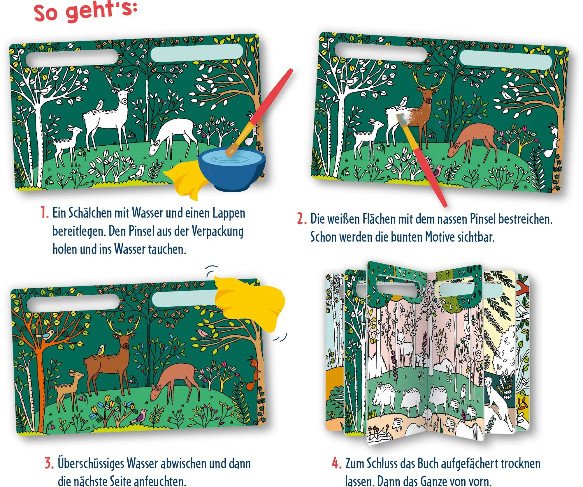 Bild: 9783649650355 | Mein erster Wasser-Malspaß | Waldtiere | Elisabeth Morais | Buch