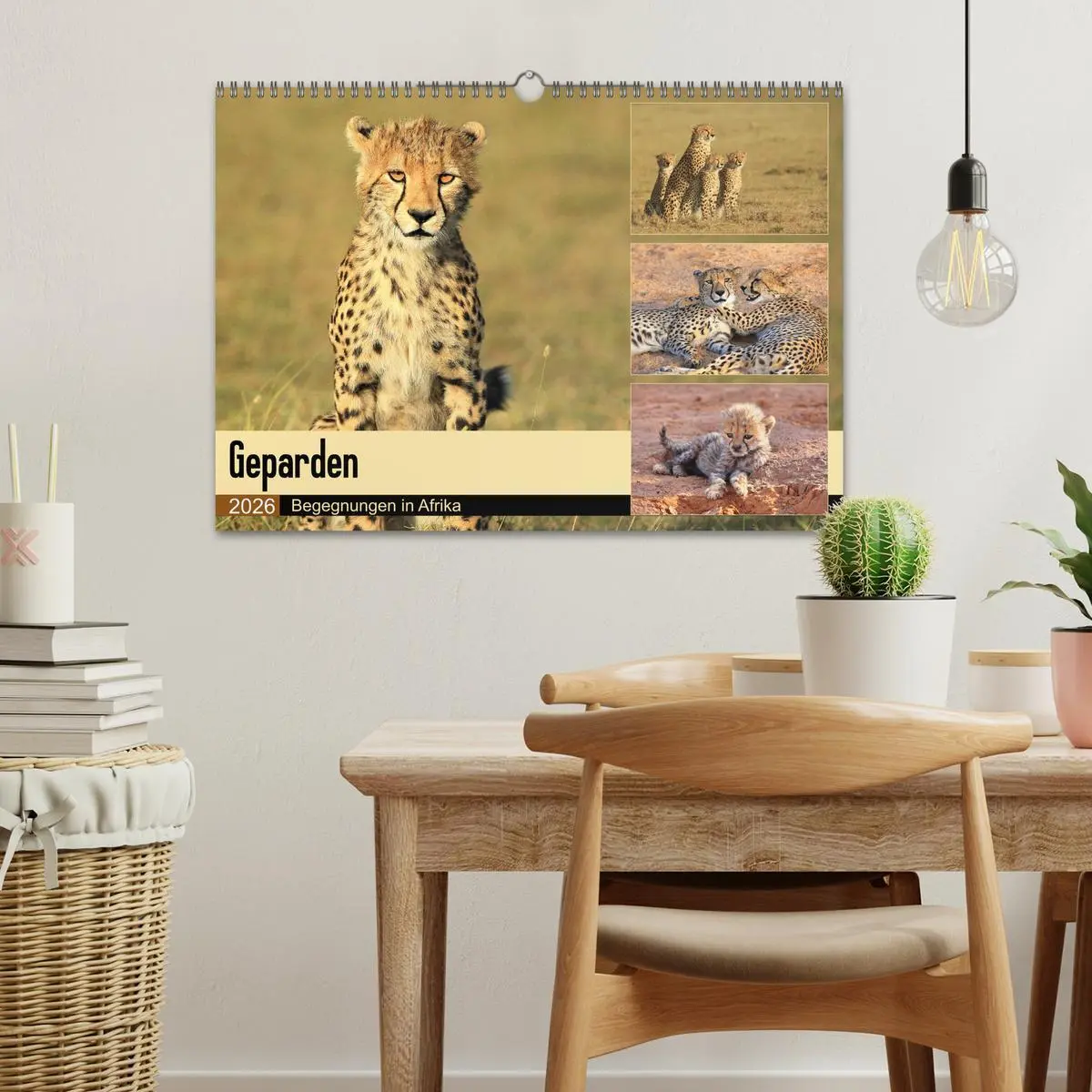 Bild: 9783516050455 | Geparden - Begegnungen in Afrika (Wandkalender 2026 DIN A3 quer),...