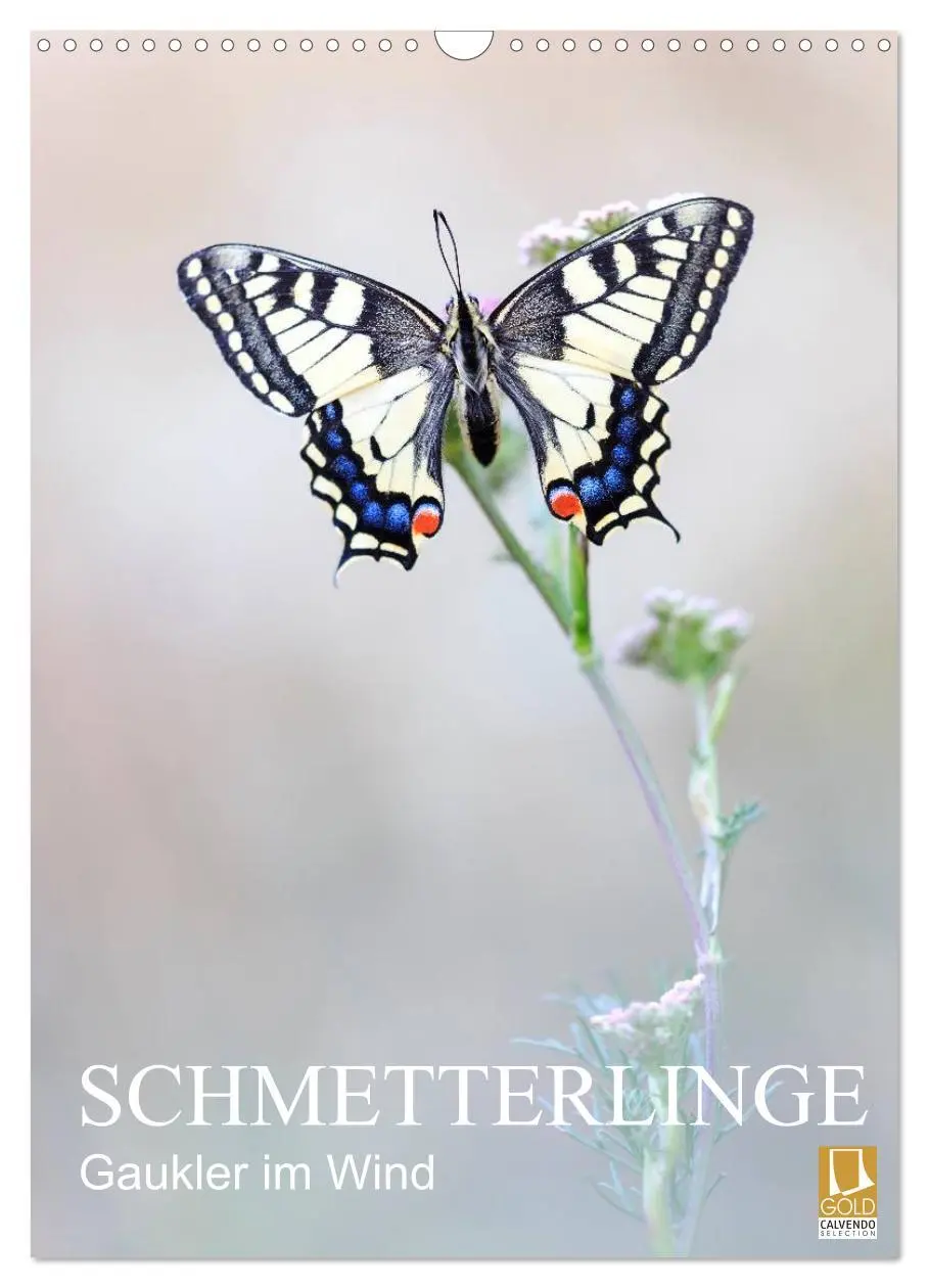 Cover: 9783516430455 | Schmetterlinge - Gaukler im Wind (Wandkalender 2026 DIN A3 hoch),...