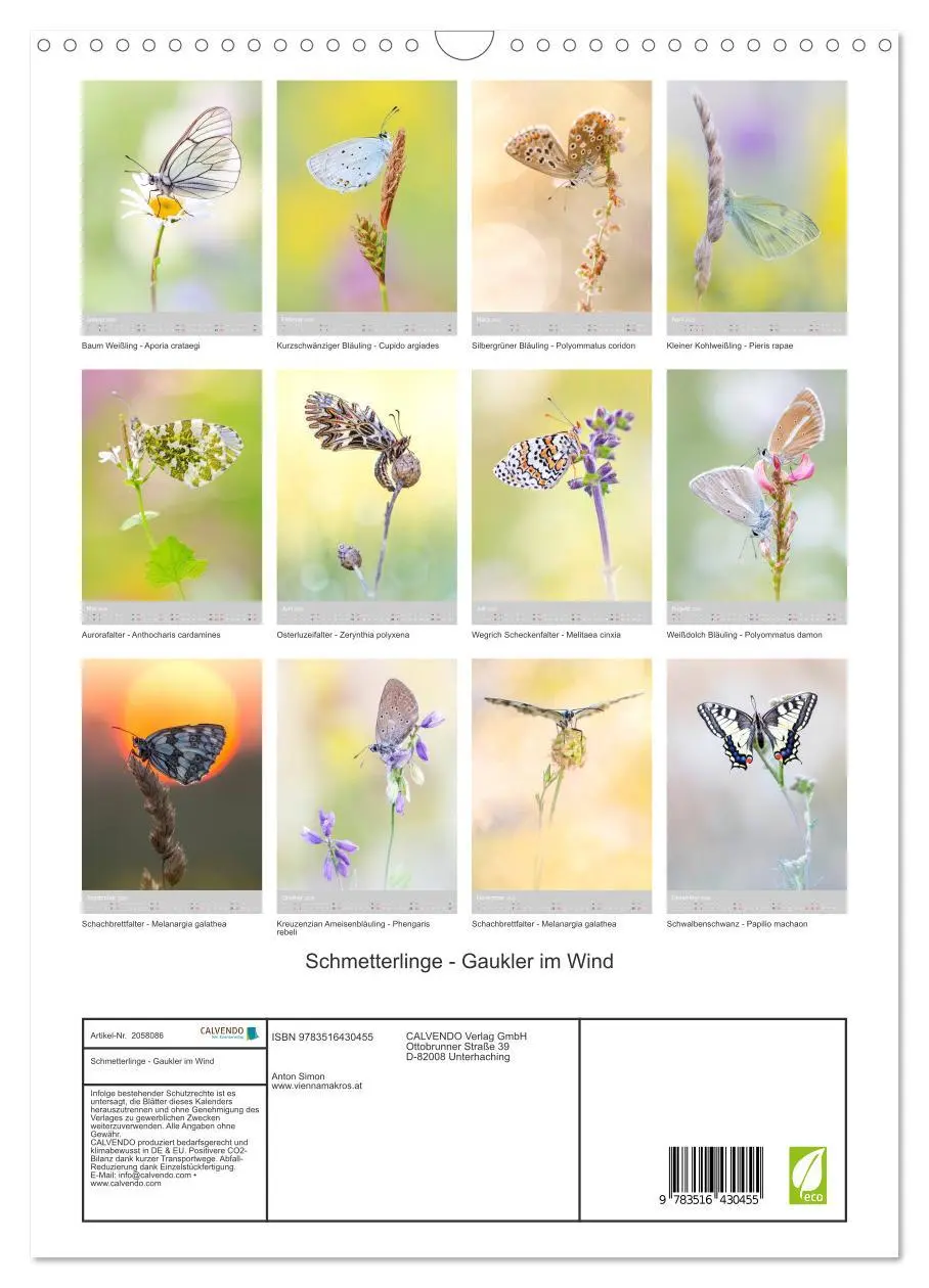Bild: 9783516430455 | Schmetterlinge - Gaukler im Wind (Wandkalender 2026 DIN A3 hoch),...