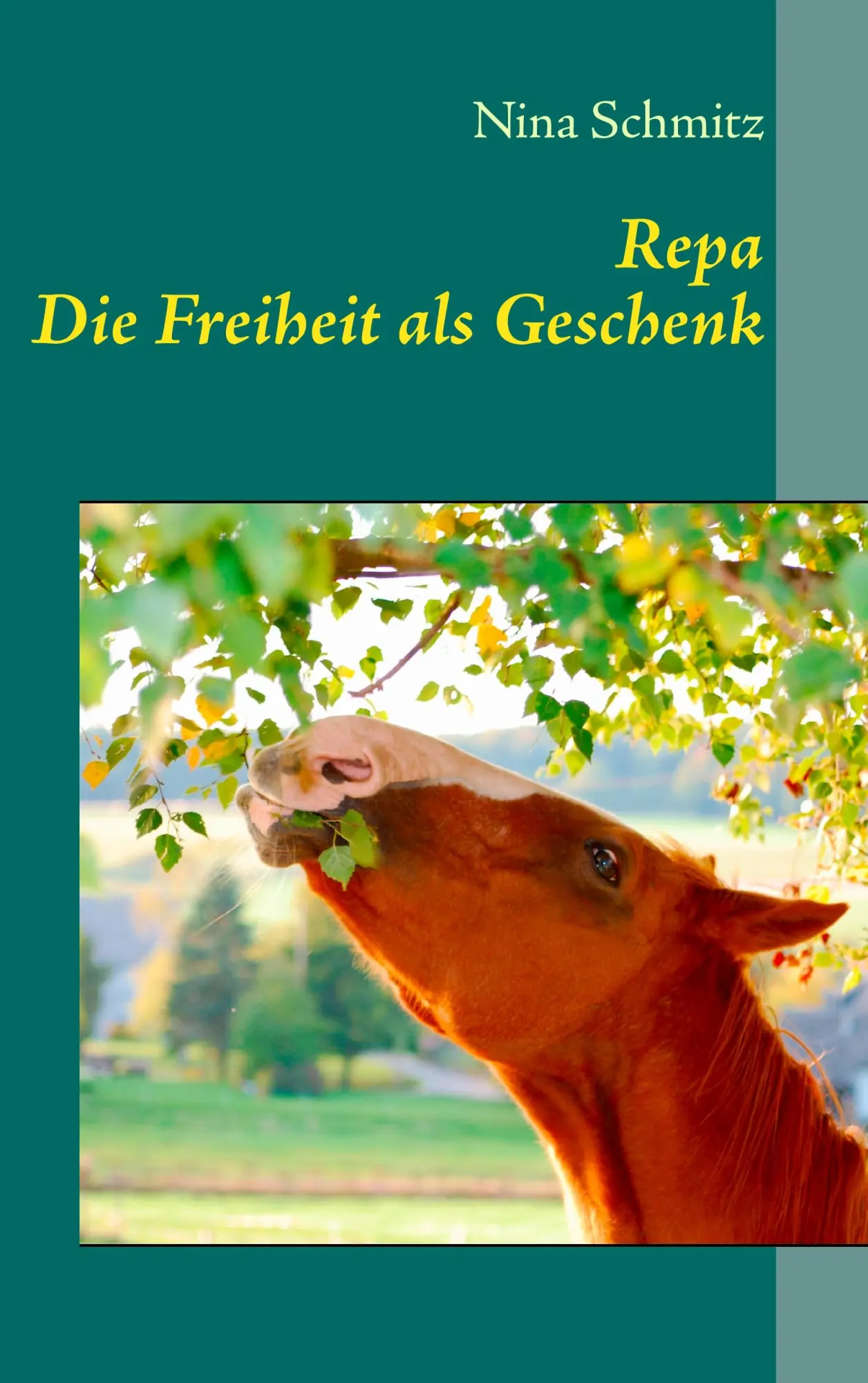 Cover: 9783842380455 | Repa | Die Freiheit als Geschenk | Nina Schmitz | Taschenbuch | 156 S.