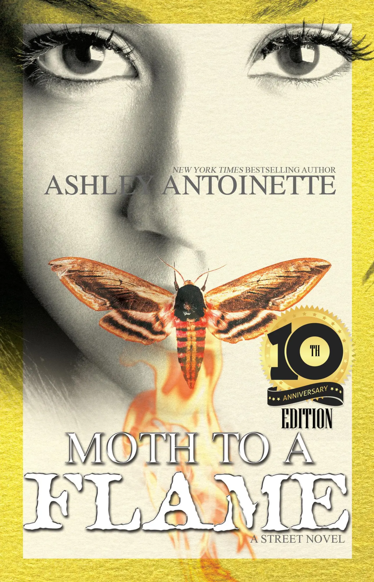 Cover: 9781645560555 | Moth to a Flame | Tenth Anniversary Edition | Ashley Antoinette | Buch