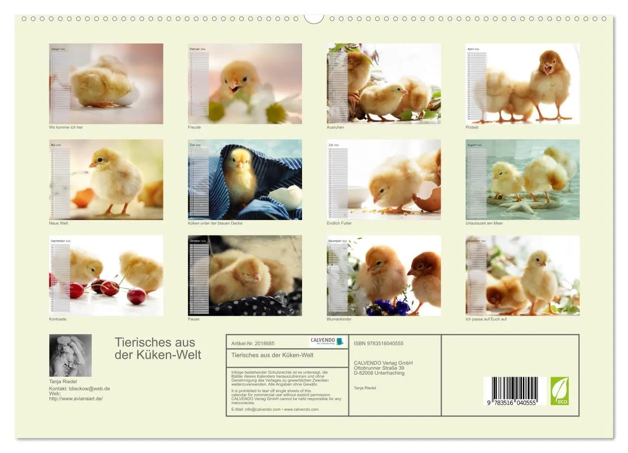 Bild: 9783516040555 | Tierisches aus der Küken-Welt (hochwertiger Premium Wandkalender...