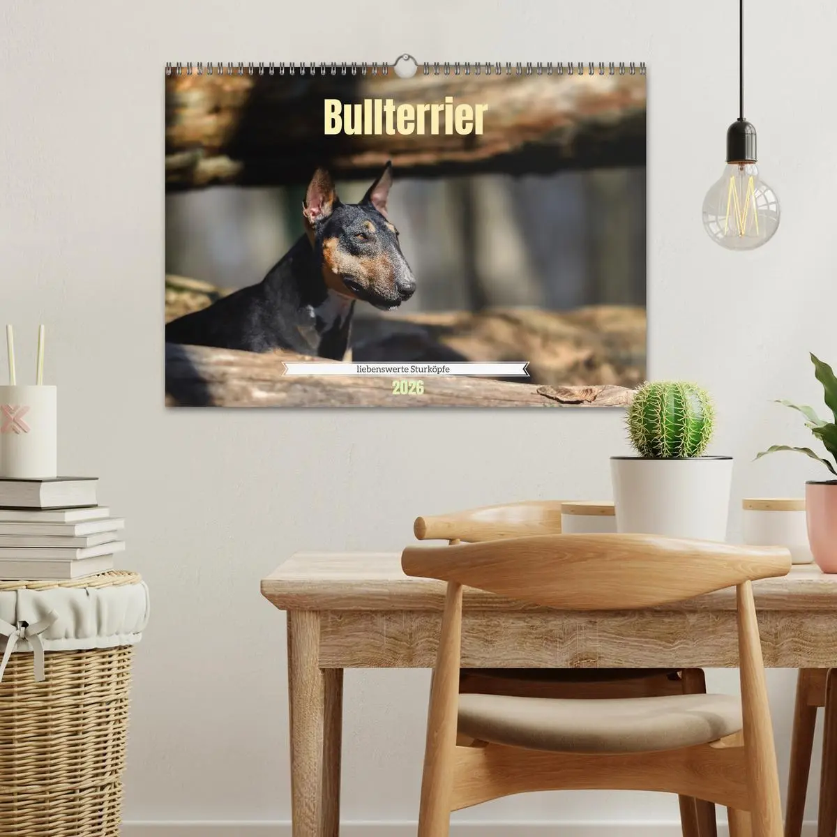 Bild: 9783457320655 | Bullterrier, liebenswerte Sturköpfe (Wandkalender 2026 DIN A3...